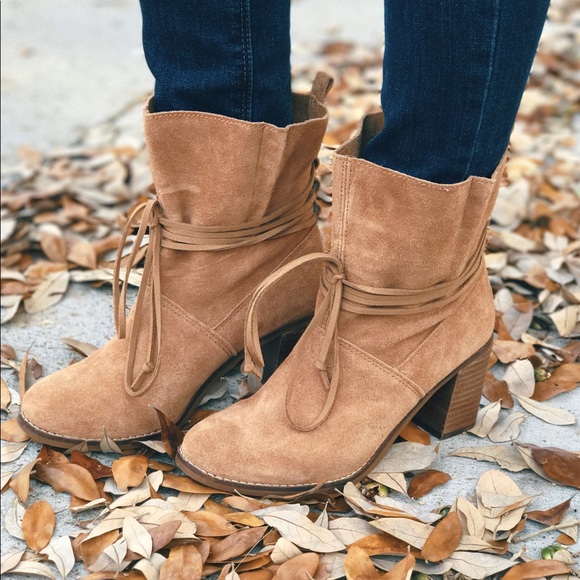 predator tango 18.4 tf